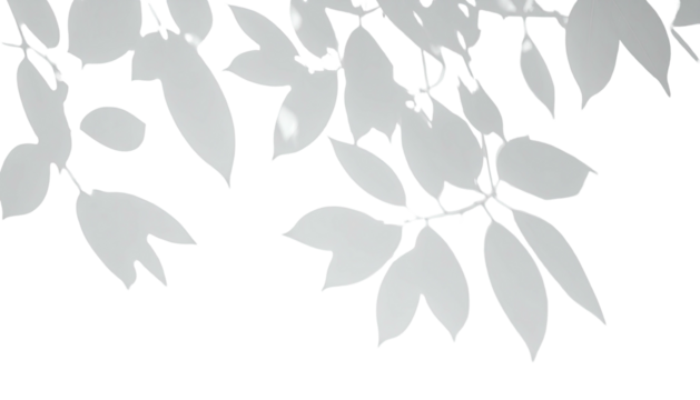 Stylized leaves, simplified shapes, minimalist design on black background