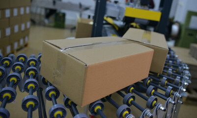 Cardboard Boxes on Conveyor Belt in Factory