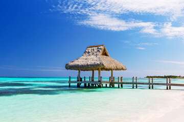 Beautiful tropical white sandy beach in Cap Cana, Dominican Republic. Summer beach holiday...