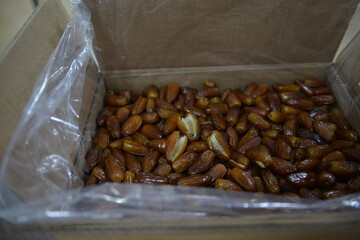Fresh Tunisian Dates Packed in Cardboard Box