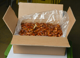 Bulk Pack of Tunisian Deglet Nour Dates in Cardboard Box
