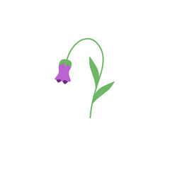 Nightshade flower illustration. Minimalist flower illustration. Beautiful flower illustration. Purple flower
