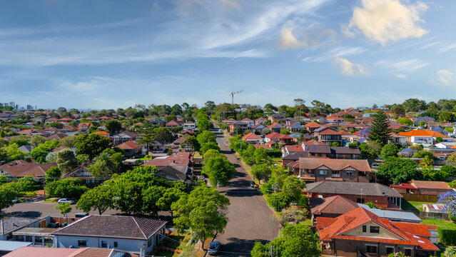 Panorama Sunset  aerial drone view of western Sydney Suburbs of Canterbury Burwood Ashfield Marrickville Campsie with Houses roads and parks in Sydney New South Wales NSW Australia