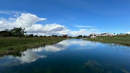 Leon, Viajes y Setas