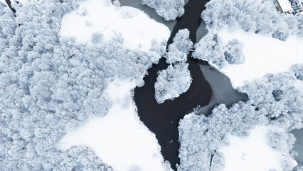 View of Pszczyna town, park and castle during a winter time