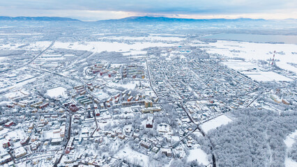 View of Pszczyna town, park and castle during a winter time