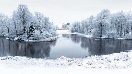 View of Pszczyna town, park and castle during a winter time