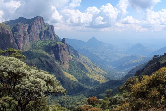 Exploring Mount Elgon National Park: A Biodiverse Adventure in Uganda's Stunning Wilderness