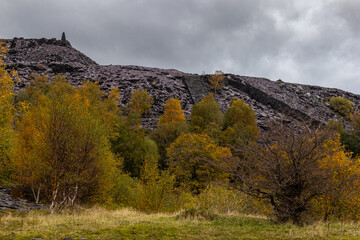 Obraz premium Golden silver birch trees growing among dark slate spoil heaps under a moody sky at Glynrhonwy Quarry, showing the contrast between natural regeneration and industrial remains