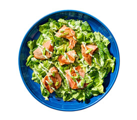 grilled salmon salad with creamy cilantro dressing