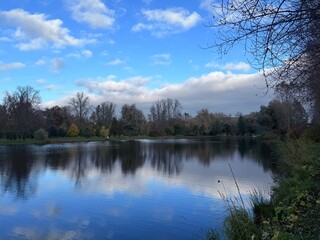 autumn trees reflection on the lake in the park, evening, melancholic