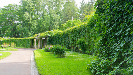 Pushkin, Russia, June 29, 2025. Pergola, veranda in Italian style in Catherine Park. Tsarskoye...