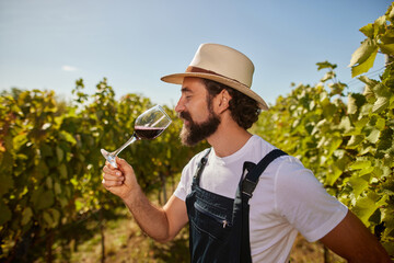 A vineyard owner enjoys a glass of wine while surrounded by lush grapevines in a sunlit vineyard. This scene highlights the dedication to traditional wine production methods in a family business.