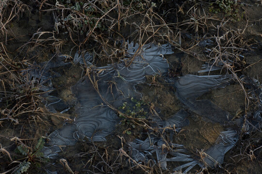 frozen water on the grass in winter time 