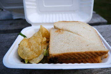 Simple Takeaway Sandwich and Potato Chips in White Foam Container on Picnic Table
