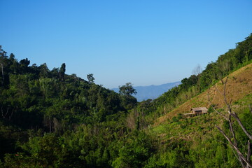 Obraz premium Discover a remote bamboo hut nestled on a vibrant green hillside with stunning mountain views under a clear blue sky, perfect for travel inspiration