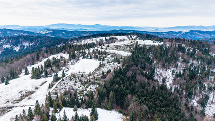 A tranquil winter panorama of Beskid Mały in southern Poland, where snowy meadows meet evergreen forests and rolling mountain hills under a serene, cloud-streaked sky.