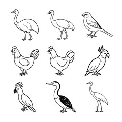 Nine Birds Vector Illustration Collection Outline Drawing Bird Species