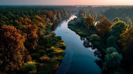 Aerial view of winding river surrounded by forest at sunset.