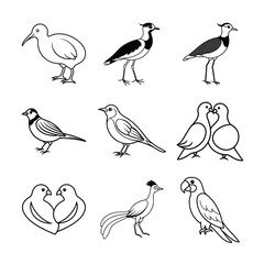 Set birds outline vector illustration black and white graphic design element