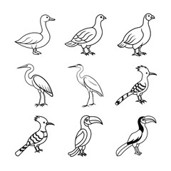 Set of birds outline vector illustration black and white graphic elements