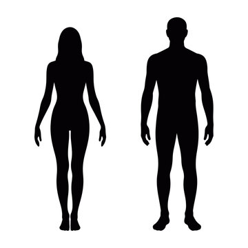 Black silhouette of male and female full-body vector illustration, showing proportional anatomical reference in elegant minimalist style for fitness, wellness, and design concepts