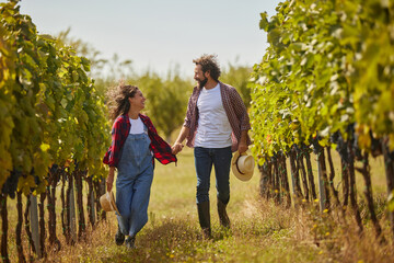 Fototapeta premium A couple walks hand in hand through rows of grapevines under the warm sun, enjoying the beauty of their vineyard and the work of their family business in wine production.