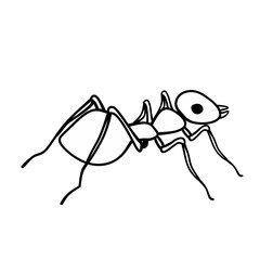Line illustration of ant