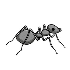 ant cartoon