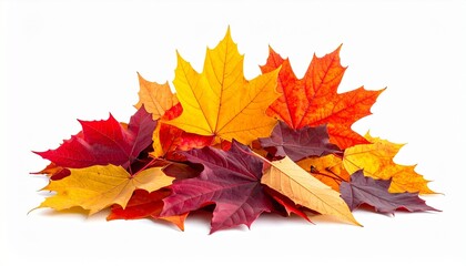 Fototapeta premium Pile of colorful autumn maple leaves in red, yellow, orange, and purple for editorial seasonal photography nature-inspired design and poetic foliage-themed visuals
