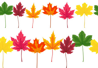 Autumn Maple Tree Leaf Horizontal Seamless Borders