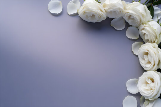 elegant white roses, soft lighting, delicate
netals serene composition minimal