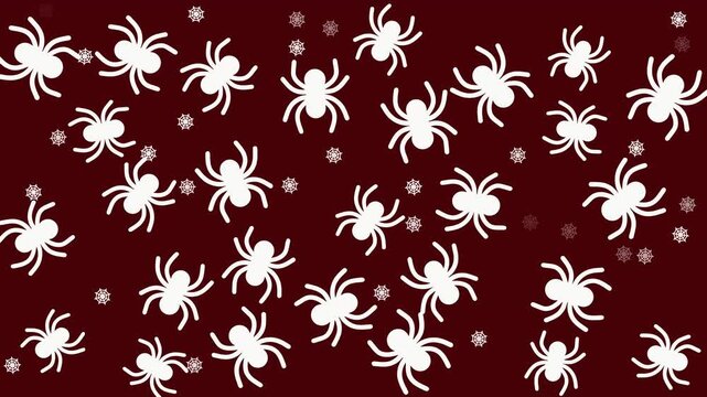 spider and web Halloween background animation