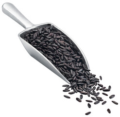 Natural black wild rice on metal scoop isolated