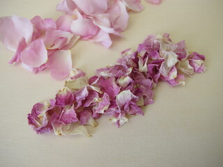 Fresh and dried petals from the wild dog rose on a wooden background, Rosa canina