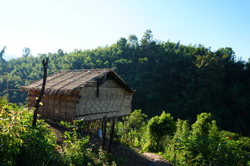 Tranquil bamboo hut nestled in lush green landscape offering a glimpse into simple living with tropical forest backdrop and clear blue sky