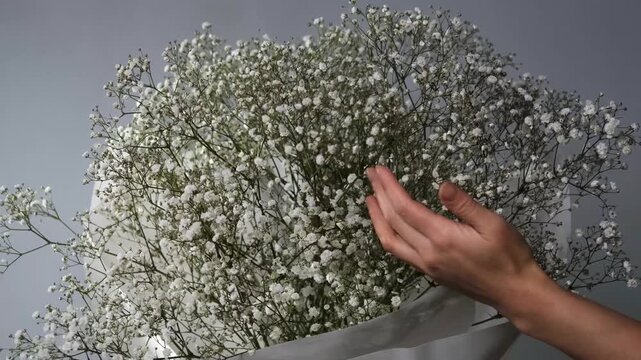 Gypsophila paniculata flowers in a bouquet