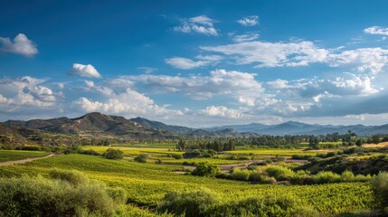 Fototapeta premium Scenic Temecula Wine Country: Lush Fields and Rolling Landscapes Under a Bright Sky