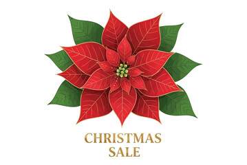 A vibrant red poinsettia flower signifies a Christmas sale event.