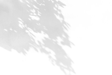 shadow overlay effect of natural tree leaves shadow over on white wall background,realistic summer sunlight abstract shadow overlay,abstract tree leaves shadow
