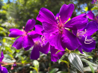 kerala god's own country