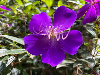 kerala god's own country