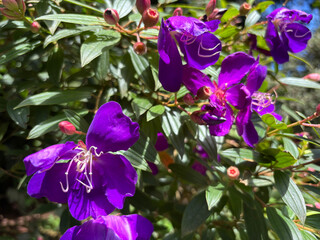 kerala god's own country