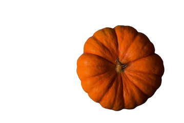 Orange pumpkin isolated top view