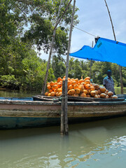 kerala god's own country