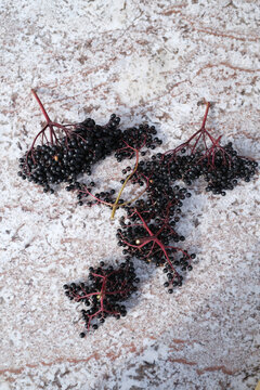 dark elderberries on stone table 