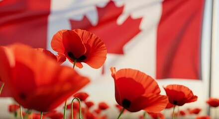 Fototapeta na wymiar Poignant remembrance day imagery featuring vibrant poppies against the canadian flag