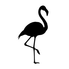 Fototapeta premium Silhouette of a flamingo standing on one leg against white background.