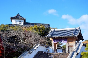 Obraz premium 掛川城 太鼓櫓・四足門