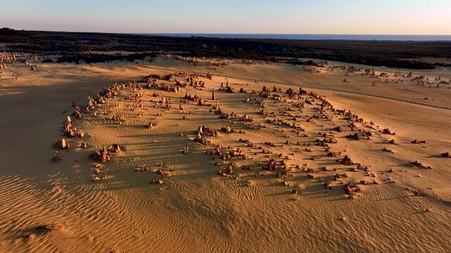 Aerial view of the Pinnacles Desert's golden sand contrasting with the dark vegetation and blue horizon, Nambung, Western Australia, Australia.